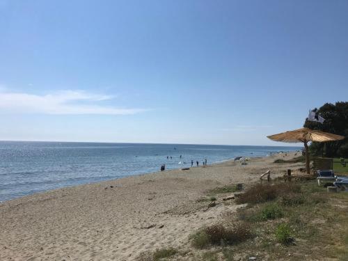 A 5 Mn A Pied De La Mer, Piscine ,Tennis, Paillote Cervione Zewnętrze zdjęcie